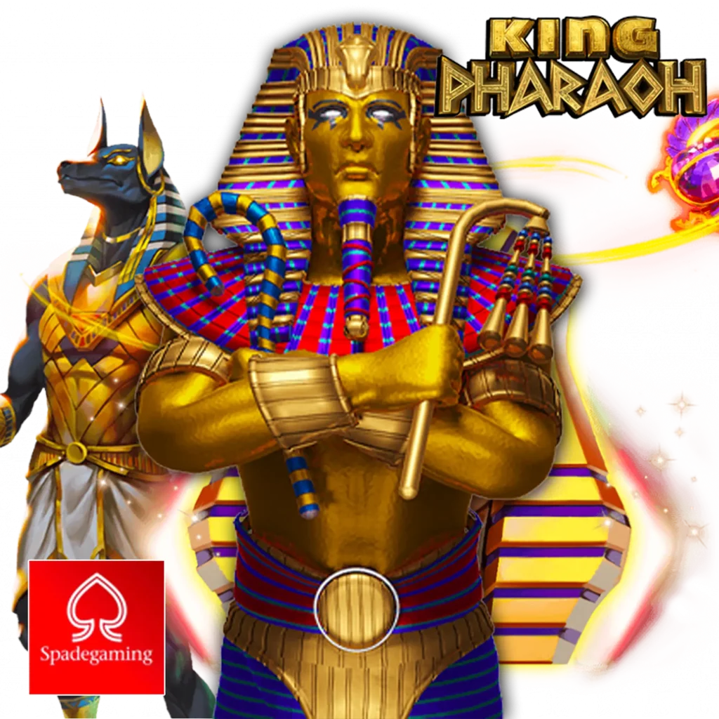 Men's Competition Barbell Set